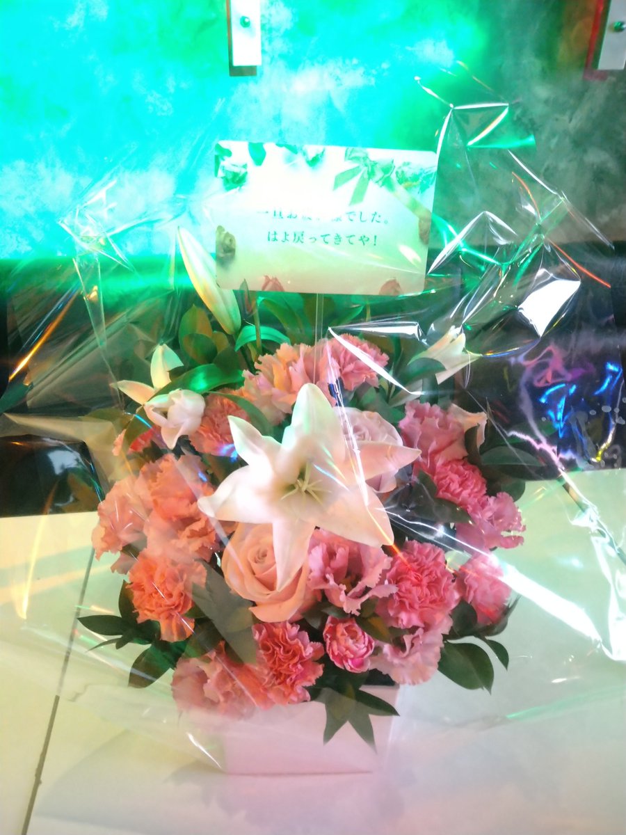 お花ーーーーー😭✨
綺麗すぎる！！
ありがとうございます🙇
#エナレボ