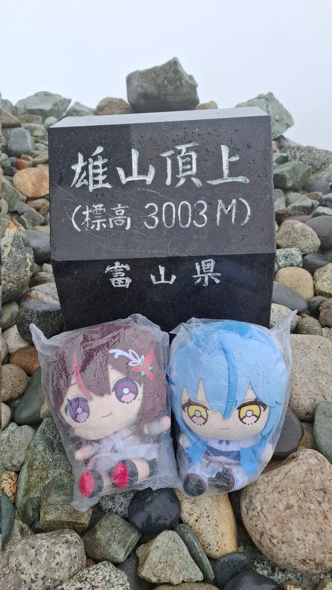 Wideriver9999's tweet photo. 日本百名山 立山:雄山
大汝山までは佐雪タオルニキさんと一緒に登りました
初の北アルプスでございますけどもガッスガス＆バカ風で景色は見えず驚きの白さでしたw
でもライチョウさんいっぱい見れたのでヨシ！
#開拓者登山部 
#雪民ふわふわ登山部 https://t.co/d4EQ5HMCfk