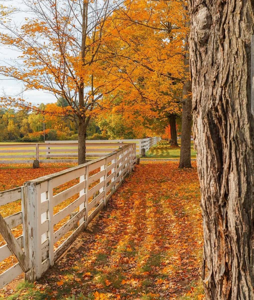 Have a super Saturday and great weekend friends 💐💐