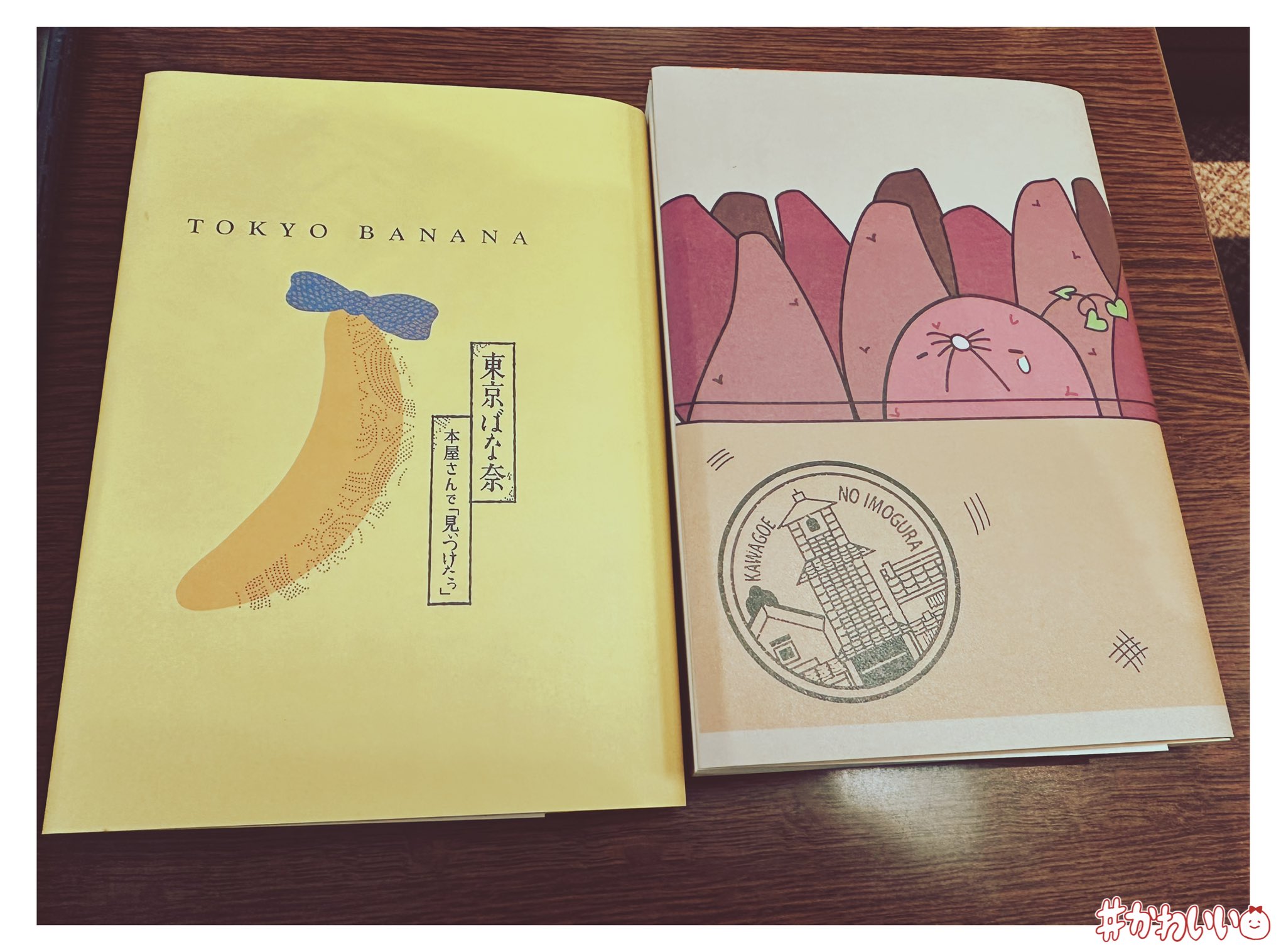 tomonao②ブックカバー ☁ブックカバー2型 四六判サイズ | kumosha