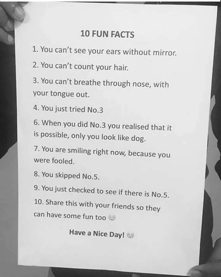 The Weather is Shite So Here’s something to make you Smile. Pass it On 😁👇