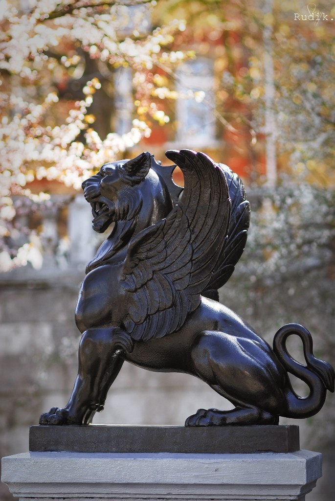 Катерина Галич tweet media