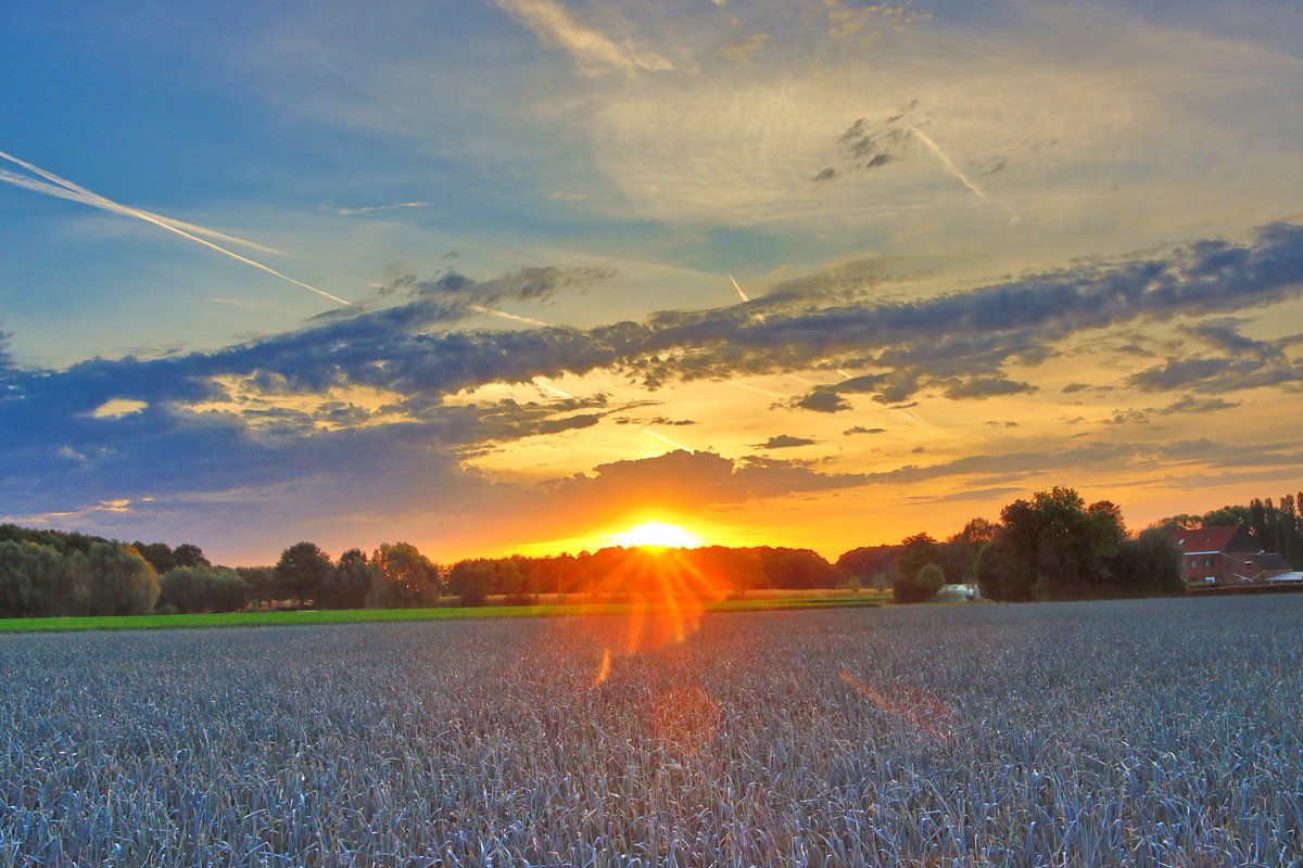 #vrtweer Luc Lambert 7u52 Ardooie wolken en zon wind  ZZW 21°