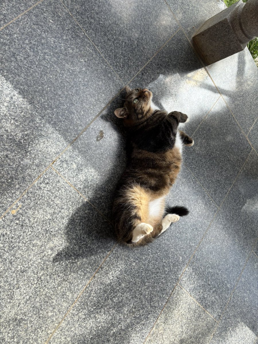 말법적 말법칼립스 (@neru_tl) on Twitter photo 