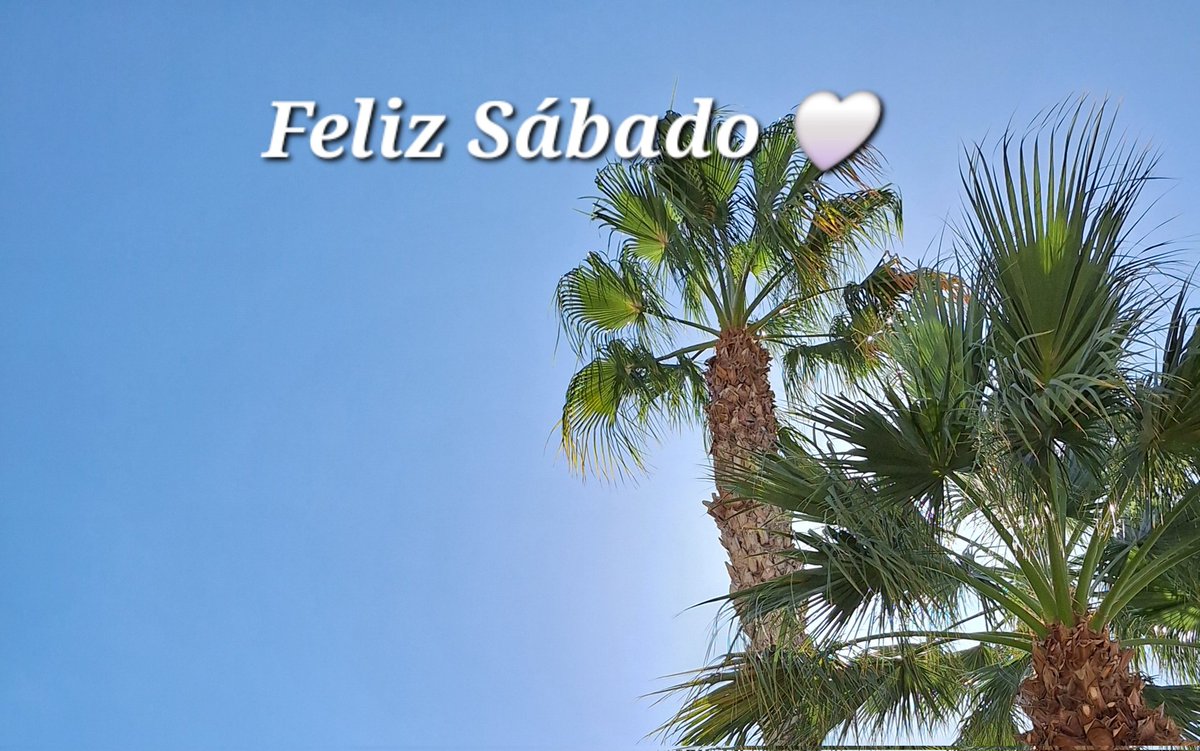 <a href="/luismerlo_actor/">Luis Merlo (Oficial)</a> Bonitas palabras que animan a seguir adelante contra todo y contra todos
Si estamos seguros, si creemos firmemente en lo que defendemos, si tenemos un proyecto que realizar, adelante sin miedo y con firmeza
#BuenosDiasATodos