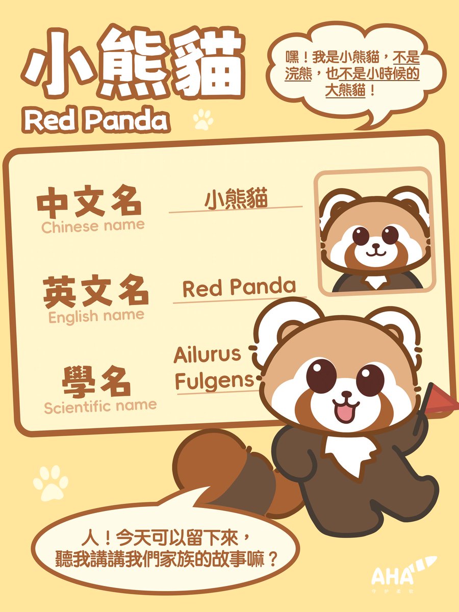LeHe_redpanda's tweet photo. 人 你渴望被看見 我們小熊貓也一樣啦❤️
（上）

#小熊貓 #小貓熊 #漫画 #插畫 #漫畫 #redpanda #illustration #manga
#國際小熊貓日 #科普 #動物
#internationalredpandaday #irpd2025 https://t.co/jh4xgTdMQR