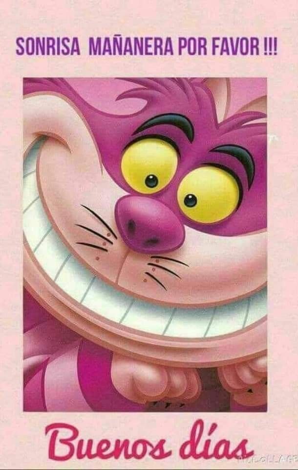 <a href="/luismerlo_actor/">Luis Merlo (Oficial)</a> Buenos días mi querido Luis 😍 gracias por compartir algo tan bonito😘 No hay que rendirse nunca, además nos crecemos con las adversidades, se llama RESILIENCIA y no nos dejaremos vencer 💪🏼 #BuenosDíasATodos 🍀