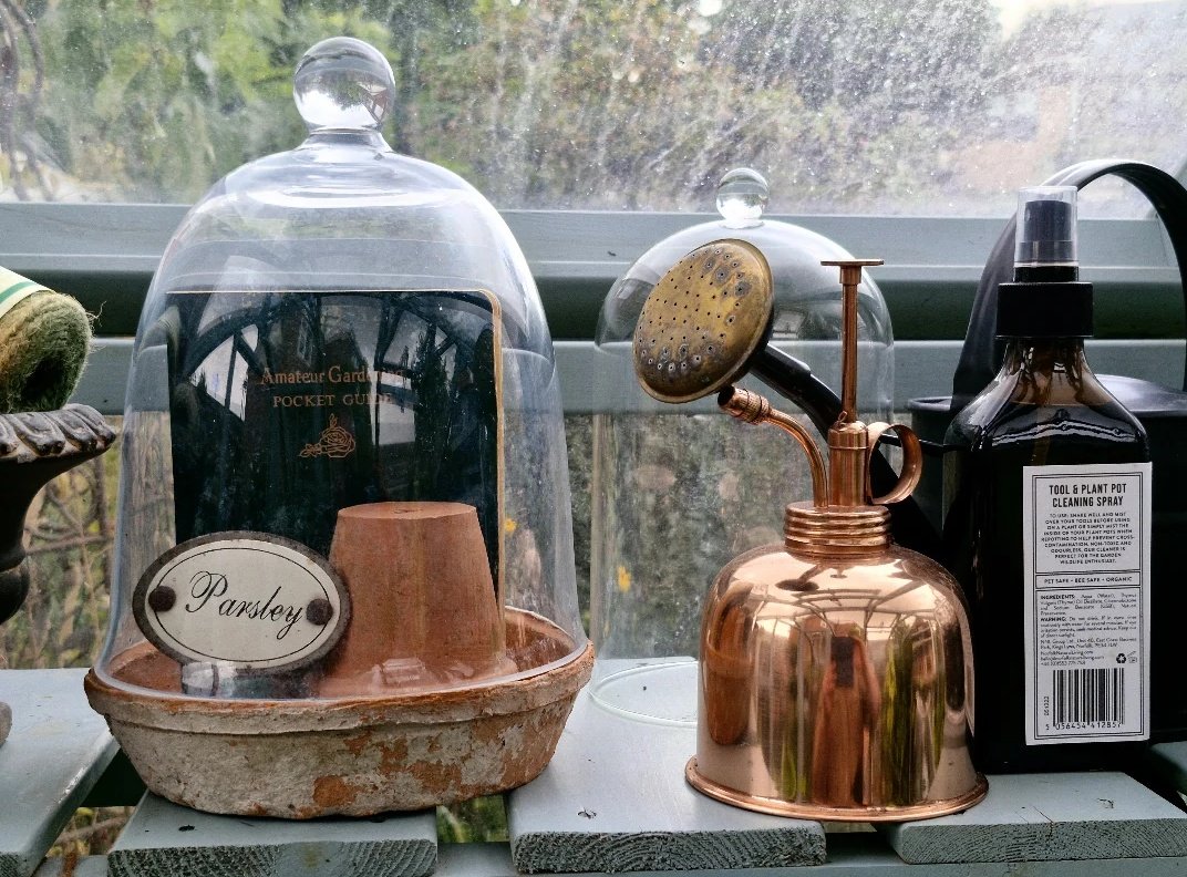 I really enjoy finding items that I then put together &amp; display in larger size glass cloches...