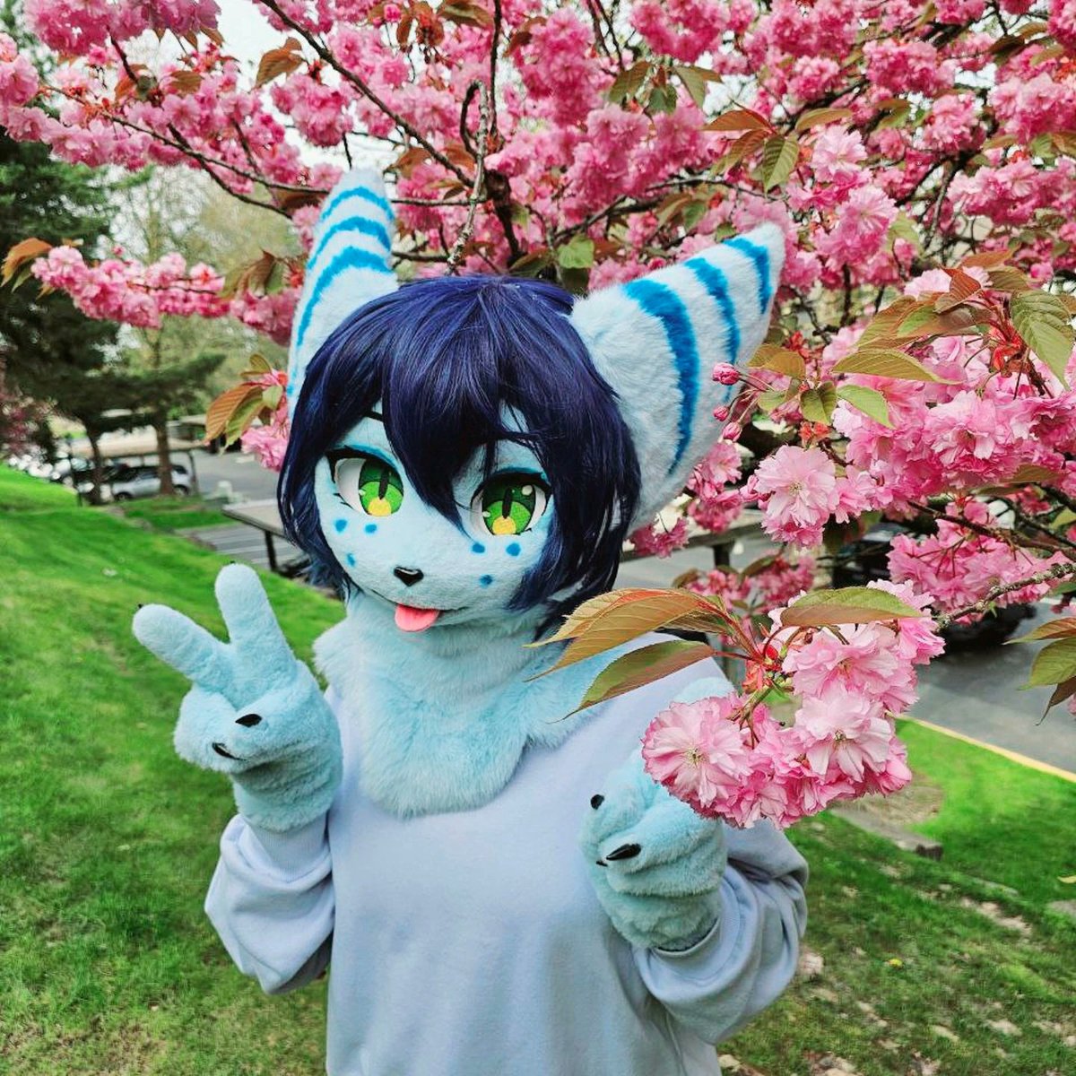 Twitch🛸Lombax tweet media