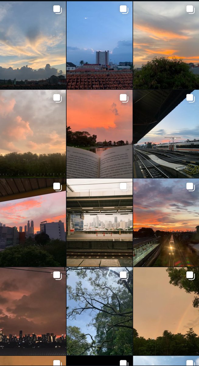 piz bellingham tweet media