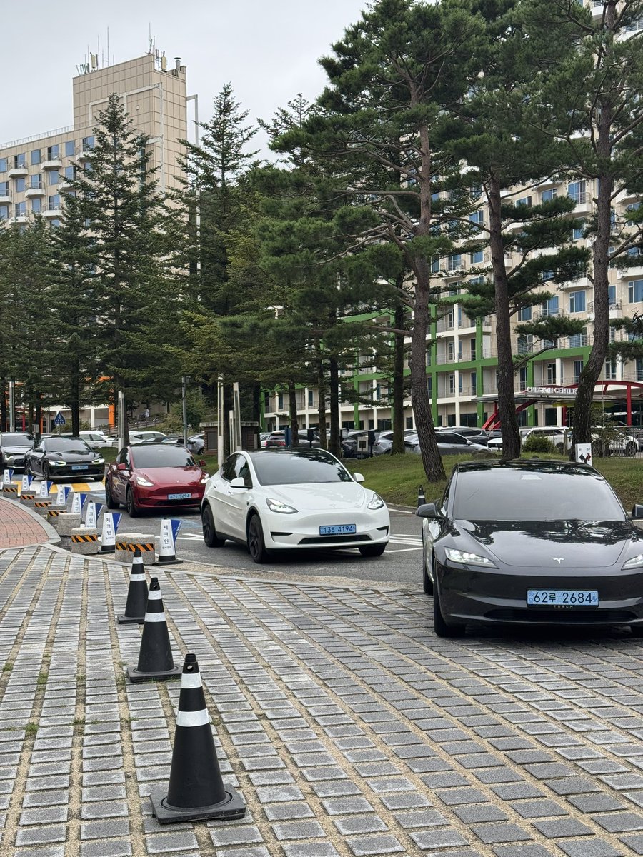 휘닉스파크는 지금 
Tesla Eleverywhere🥹