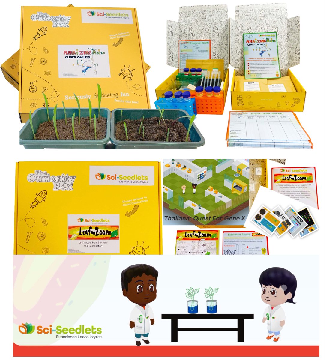 It’s happening!!! Plant Biology Classroom lessons supported by <a href="/SciSeedlets/">Sci-Seedlets</a> all-in-box Leaf Zoom &amp; AMAiZING Maize kits 📦 Many thanks to the 18 schools across Scotland participating 🌱  and <a href="/EdinaTrust/">Edina Trust</a> <a href="/BBSRC/">Biotechnology and Biological Sciences Research</a> IAA <a href="/UofgI/">UofG_Impact</a> for funding 💫