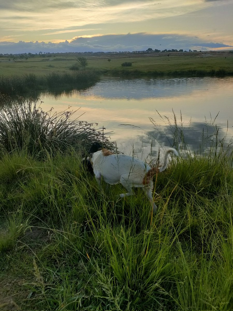 James (JM) Grey tweet media