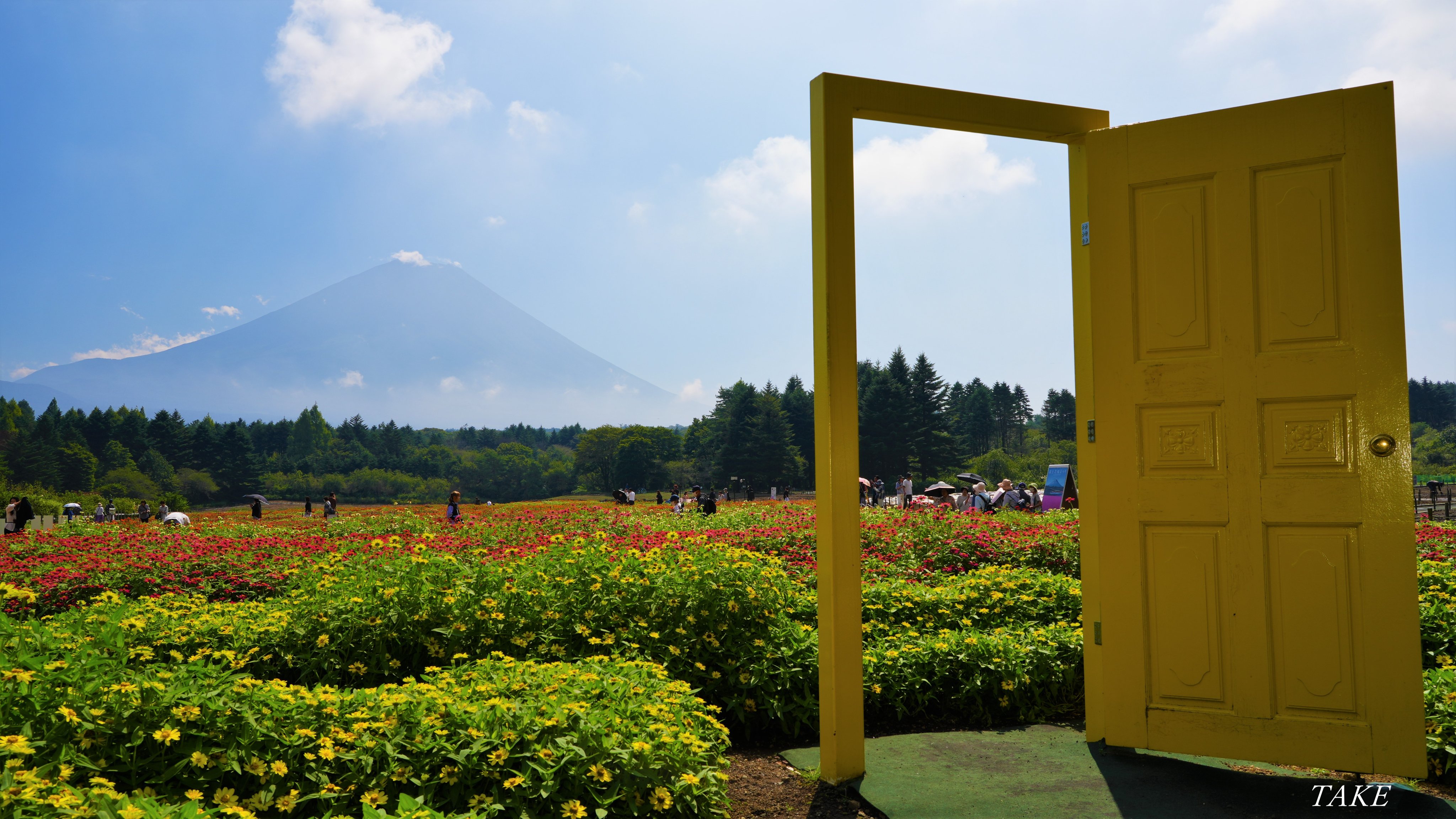 樹と花 TAKE (花鳥風月 時々Bike) (@monster636ninja) / X