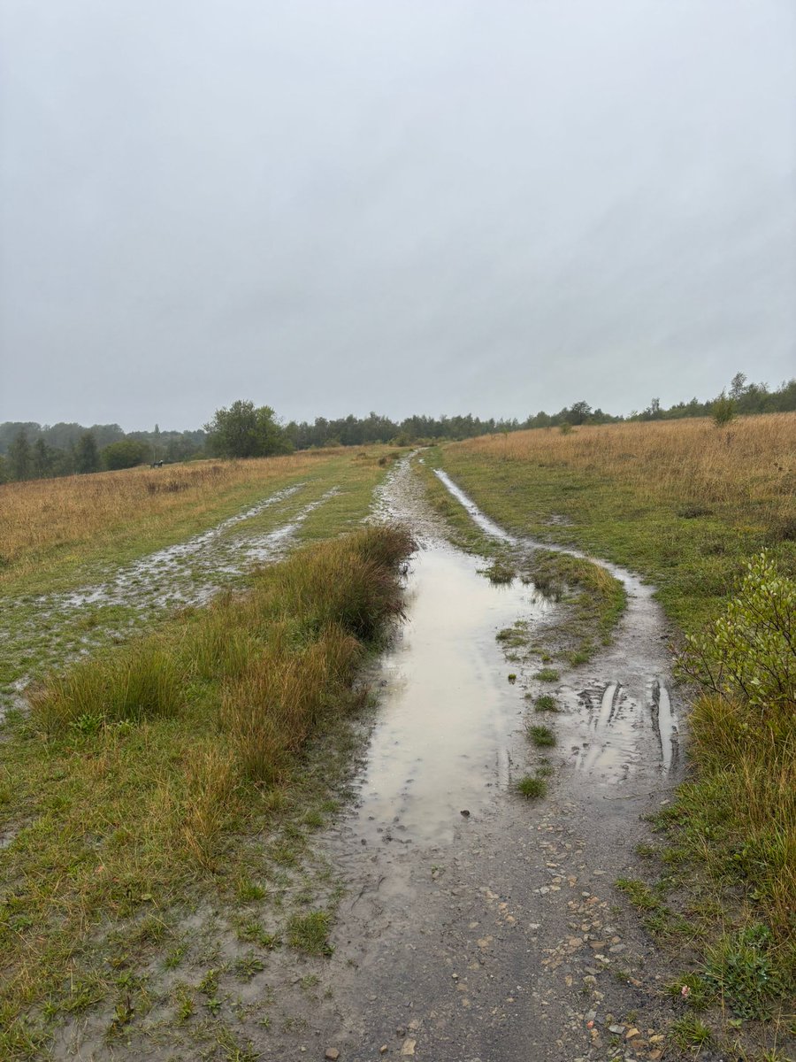 RD Terry has completed the course inspection. It's good weather for ducks, so please dress accordingly and note that trail shoes are advised if you have them.