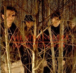 Lee Stevens tweet media