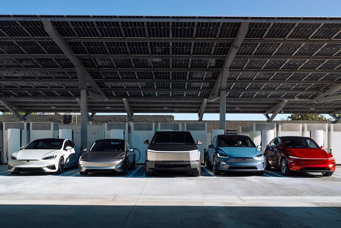 Nic Cruz Patane tweet media