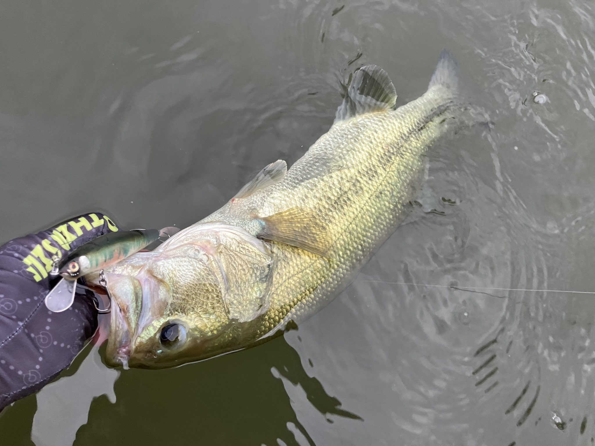 缶バ 18TRIP ハート型缶バッジ～Ev3ns&L4mps～｜プライズ・くじ