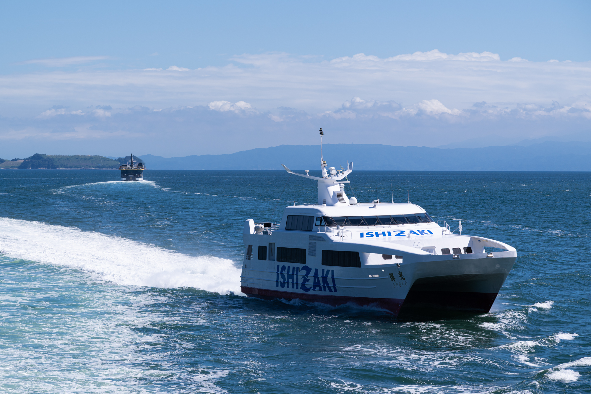 うみまる様 野生のうみまる on X: 