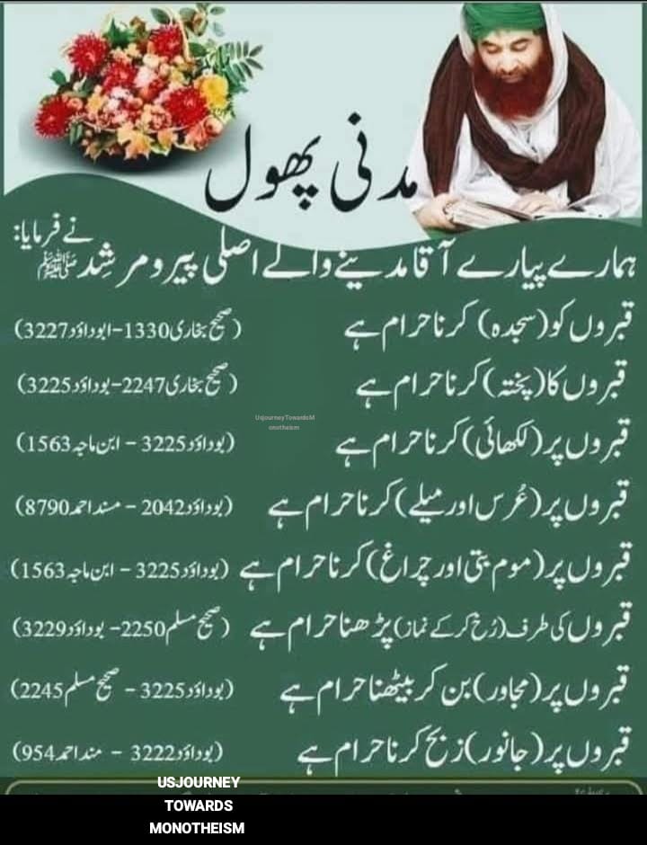 Saba 🇵🇰💚 tweet media