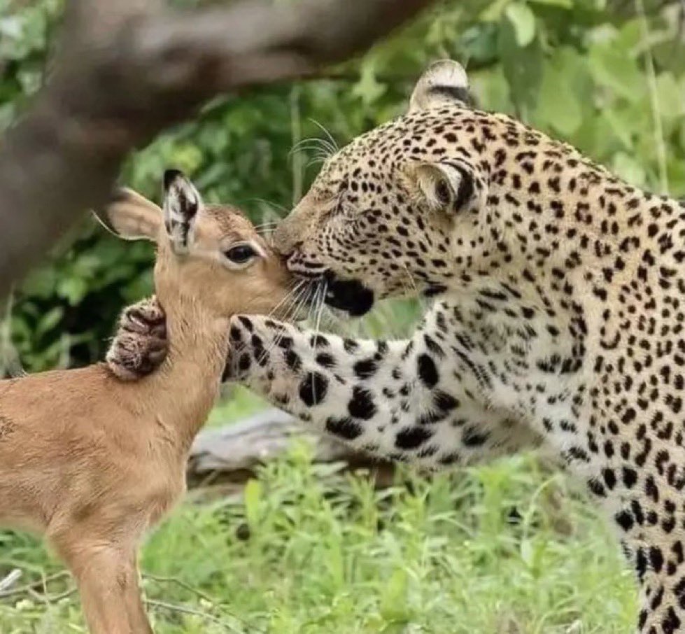 “Your mom should know you’re now grown to let you move”