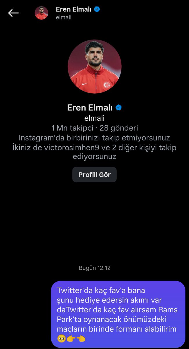 GÜLSÜM #FatihTerim tweet media
