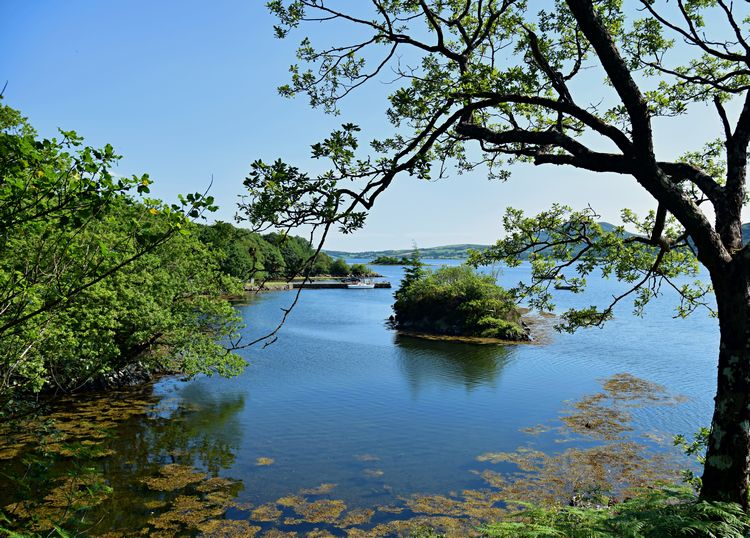 welovedonegal's tweet photo. Good #Saturday 20th #September morning from
beautiful #Donegal ๐๐
Today's #GoodMorning pic is of #Mulroy Bay and #Cranford Pier.
#nature #water #trees #calm #boats #fishing #swimming #happy
#Ireland .
@ThePhotoHour https://t.co/oT5tELo0Zk