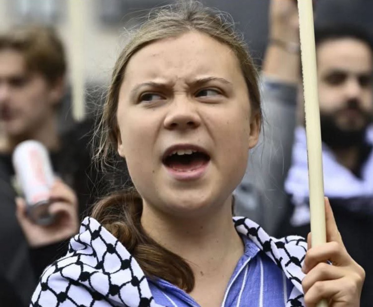 WER IST GRETA THUNBERG WIRKLICH?

Autistin mit Asperger, Verhaltensauffälligkeiten, aber trotzdem hat sie schnell verstanden, dass es auf der Welt viele Idioten gibt. Ein bisschen Ökologie, ein bisschen Palästinensertum, und schon hat sie ein riesiges Vermögen gemacht, ohne