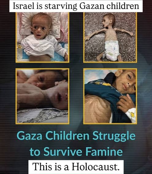 mbkzngl's tweet photo. #GazaStarvingToDeath https://t.co/mdUTbPVcCX