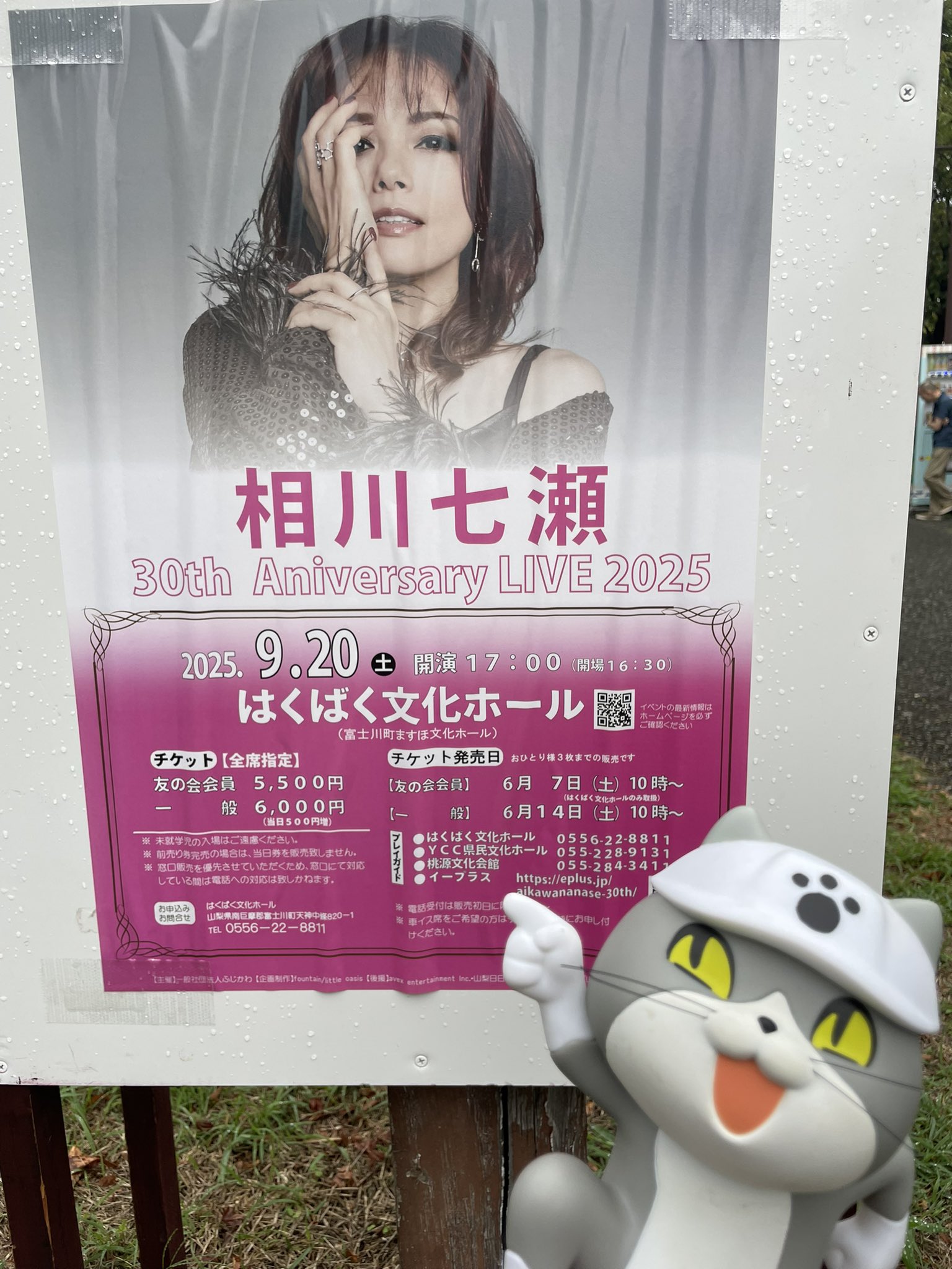 【レア】相川七瀬　red　ポスター 51pMZPXcclL._SY200_QL15_.jpg