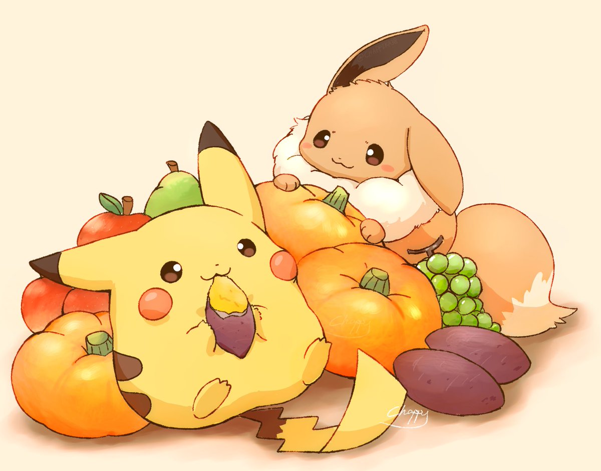 チャッピーページ チャッピー🦊🐾 (@CHAPPIKA38) / X