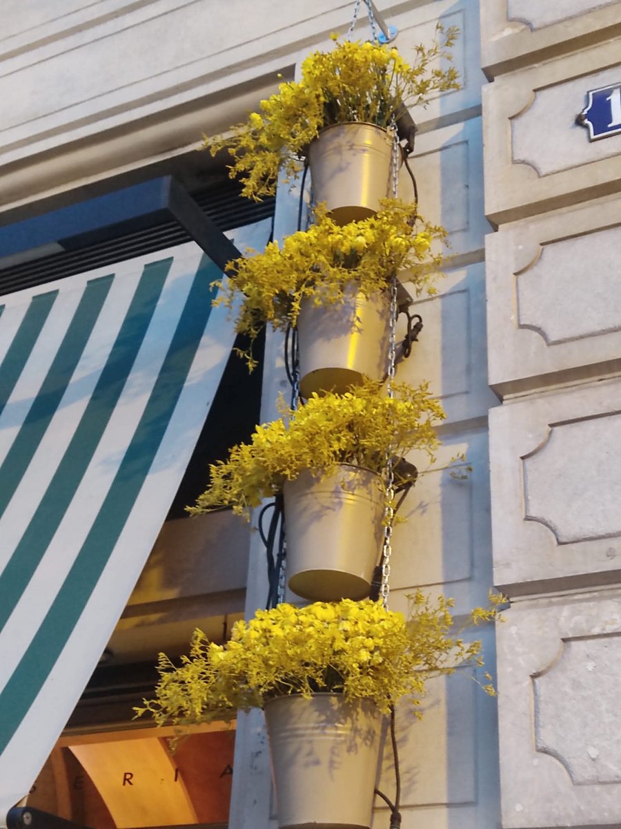 Groc de llibertat, de dignitat. Agraïment. Abraçada. <a href="/aviesiavisLL/">Àvies i Avis Mont-roig del C.🎗️x la Llibertat</a> <a href="/avisiaviesreus/">Avis i Àvies de Reus x Llibertat 🎗</a> <a href="/AvisxRepublica/">Avis i Àvies per la República</a> <a href="/Aviesiavisvic21/">Àvies I Avis de la Plaça de Vic</a> <a href="/TacaDOliAvis/">Taca d'Oli</a> <a href="/anclacanonja/">ANC La Canonja</a> <a href="/CanonjaX/">La Canonja x la Llibertat</a> <a href="/Iaies_osTortosa/">Iaies&Iaios per la Llibertat</a> <a href="/v_rovira/">vrovira50</a> <a href="/david_miret/">David Miret</a> <a href="/MeridianaResis1/">MeridianaResisteix</a> <a href="/JDDCAT/">JDD</a> <a href="/musicspenedes/">Músics per la Llibertat Alt Penedès</a> <a href="/CorPaeria/">Cor Plaça Paeria</a> <a href="/JaumeAeRos/">Jaume Añe Ros</a> <a href="/CesarLagonigro/">Cèsar Lagonigro</a> #free