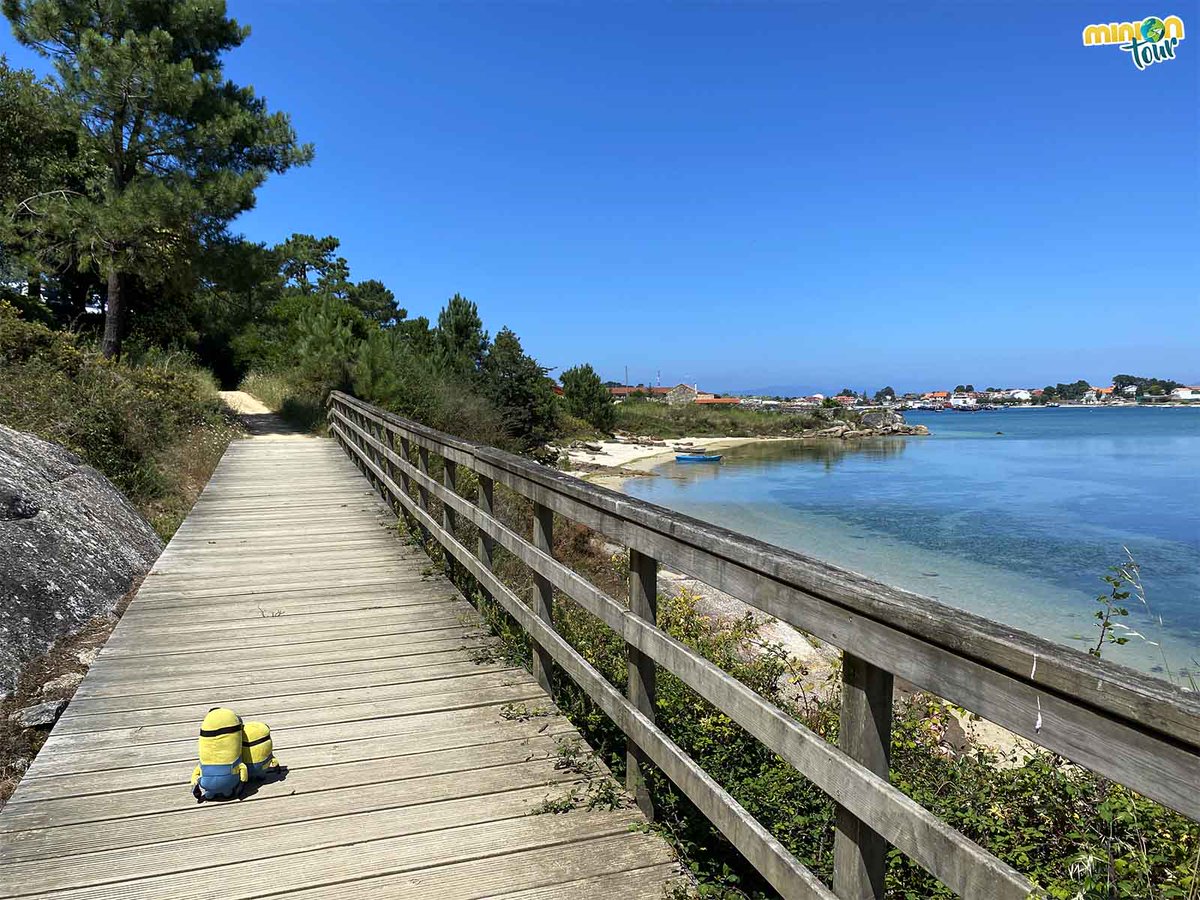 ¿Tienes ganas de playita? 🏖️ ¡Nosotros sí! 😎 Y en #OGrove hay varias de lo más chulas 🤩, ¿te las chivamos?
👉 bit.ly/PlayasOGrove
<a href="/Turismo_Grove/">Turismo de O Grove</a> @galiciatb <a href="/turisriasbaixas/">Turismo Rías Baixas</a> <a href="/loves_galicia/">Loves_galicia 🛰️ #fainoengalego</a> <a href="/VisitOSalnes/">Visit O Salnés ®</a> <a href="/MadridTB/">Madrid TB</a> #RíasBaixas