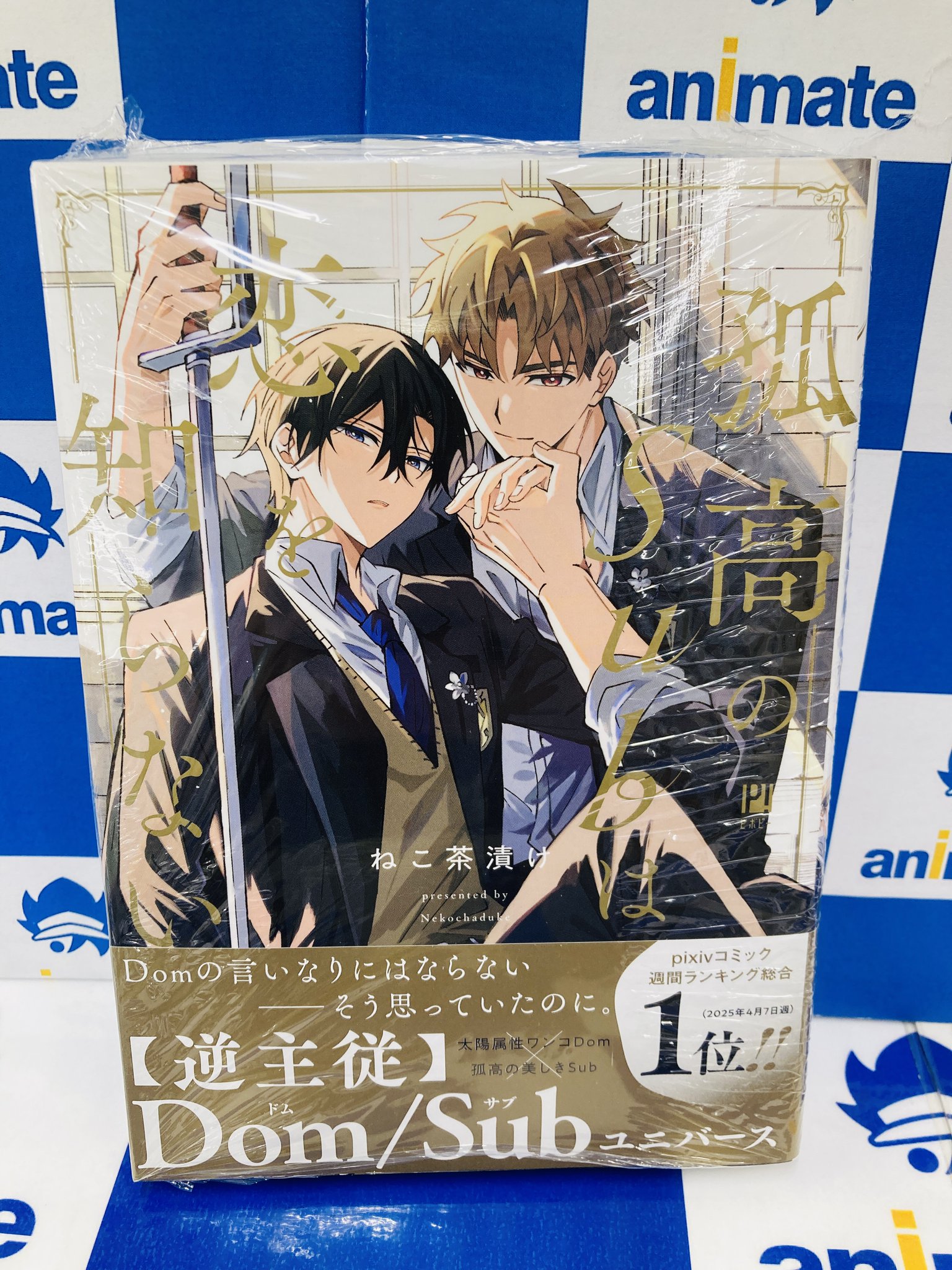 欲望の月　藤咲ねねば　アニメイトリーフレット付き BL新刊コミック 欲望の月/藤咲ねねば アニメイト特典