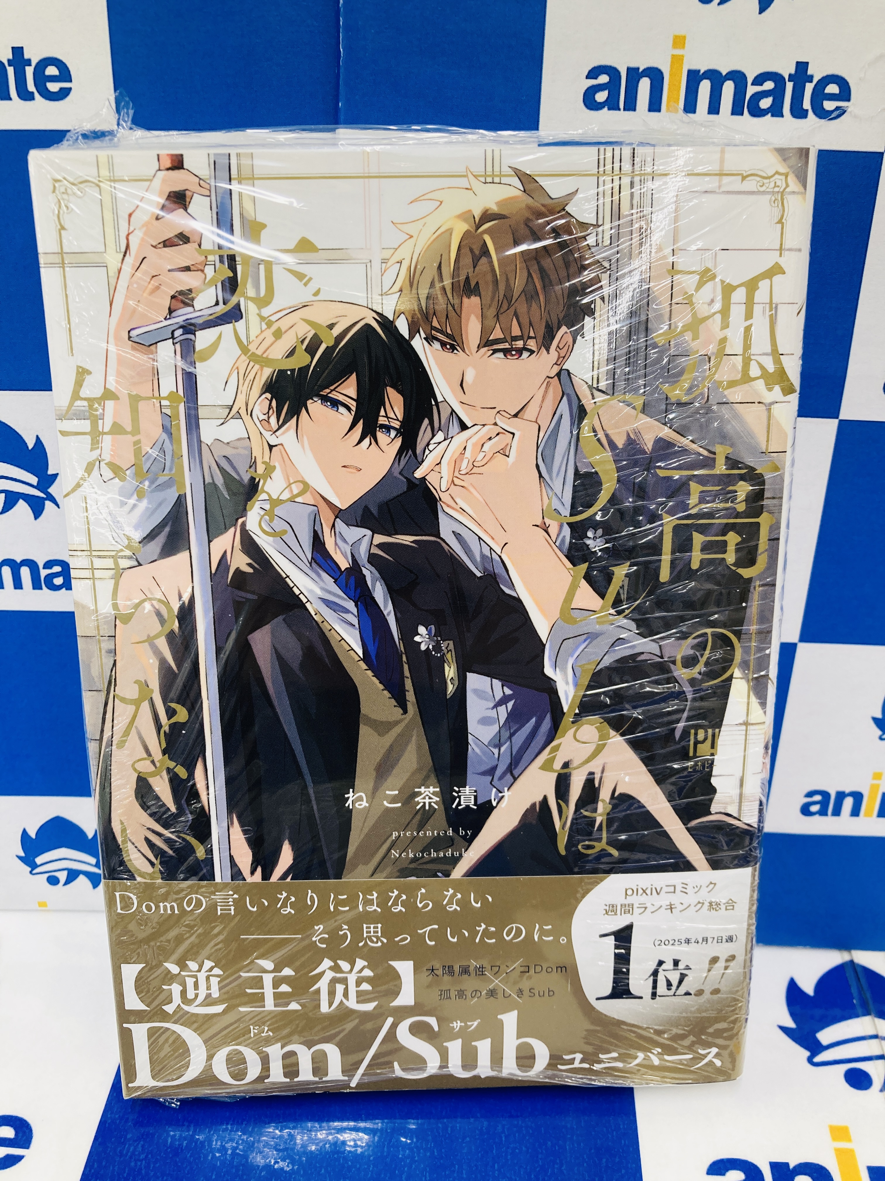 猫と私と金曜日 特製バインダー アニメイトフェア特典 猫と私と金曜日 特製バインダー アニメイトフェア特典