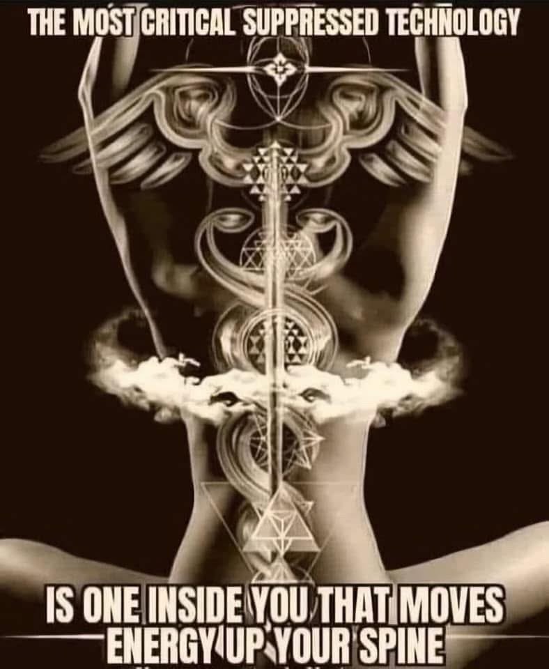 🧬Maxpein🧬 (@maximumpain333) on Twitter photo 