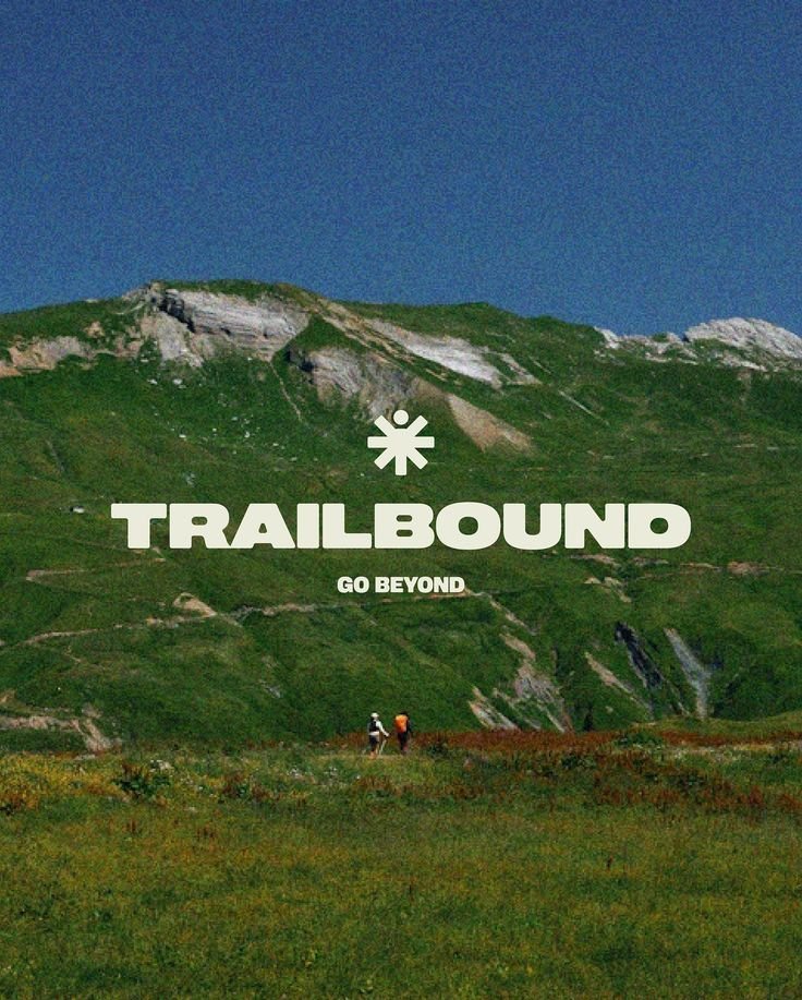 pietrobaudin's tweet photo. 4 gorgeous fonts for free: https://t.co/MhSGhPk6is