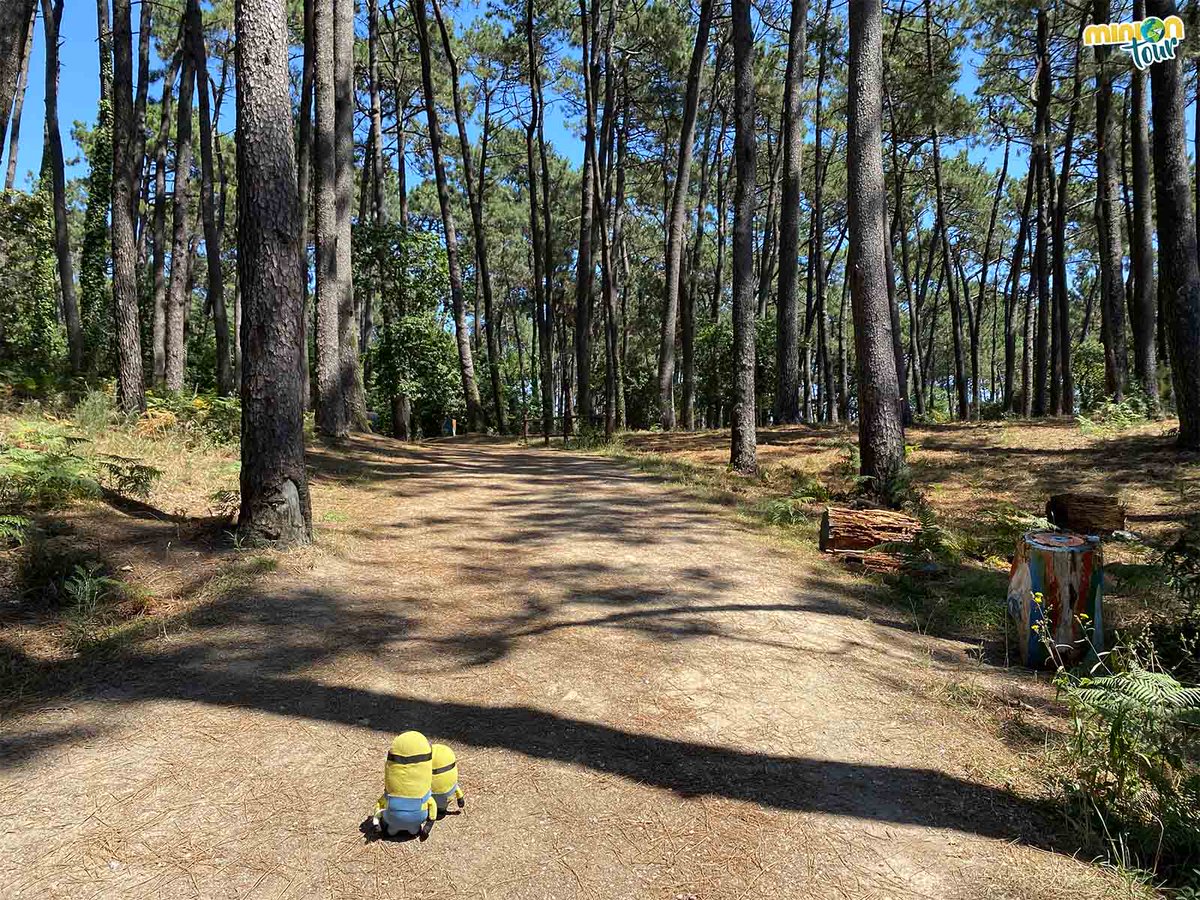 ¿Sabes que en las #RíasBaixas hay un sitio en el que viven duendecillos? 🧚​ Es la Aldea de los #Grobits y está en A Illa da Toxa 🤩​. ¡Búscalos! ​👀​A ver si los encuentras:
👉 bit.ly/AldeadelosGrob…
@turismo_grove @galiciatb <a href="/turisriasbaixas/">Turismo Rías Baixas</a> <a href="/loves_galicia/">Loves_galicia 🛰️ #fainoengalego</a> @turvegal