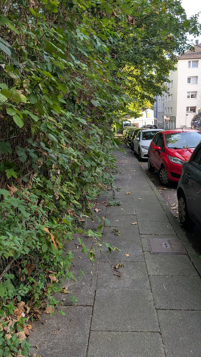 DerDexer🚟 tweet media