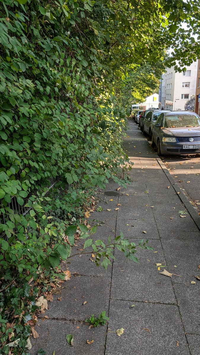 DerDexer🚟 tweet media