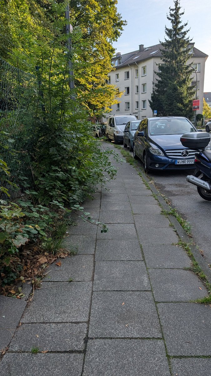 DerDexer🚟 tweet media