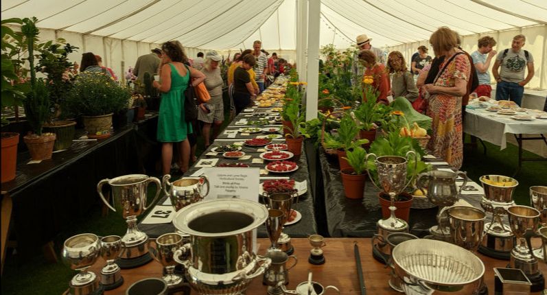Uplyme & Lyme Regis Horticultural Society tweet media