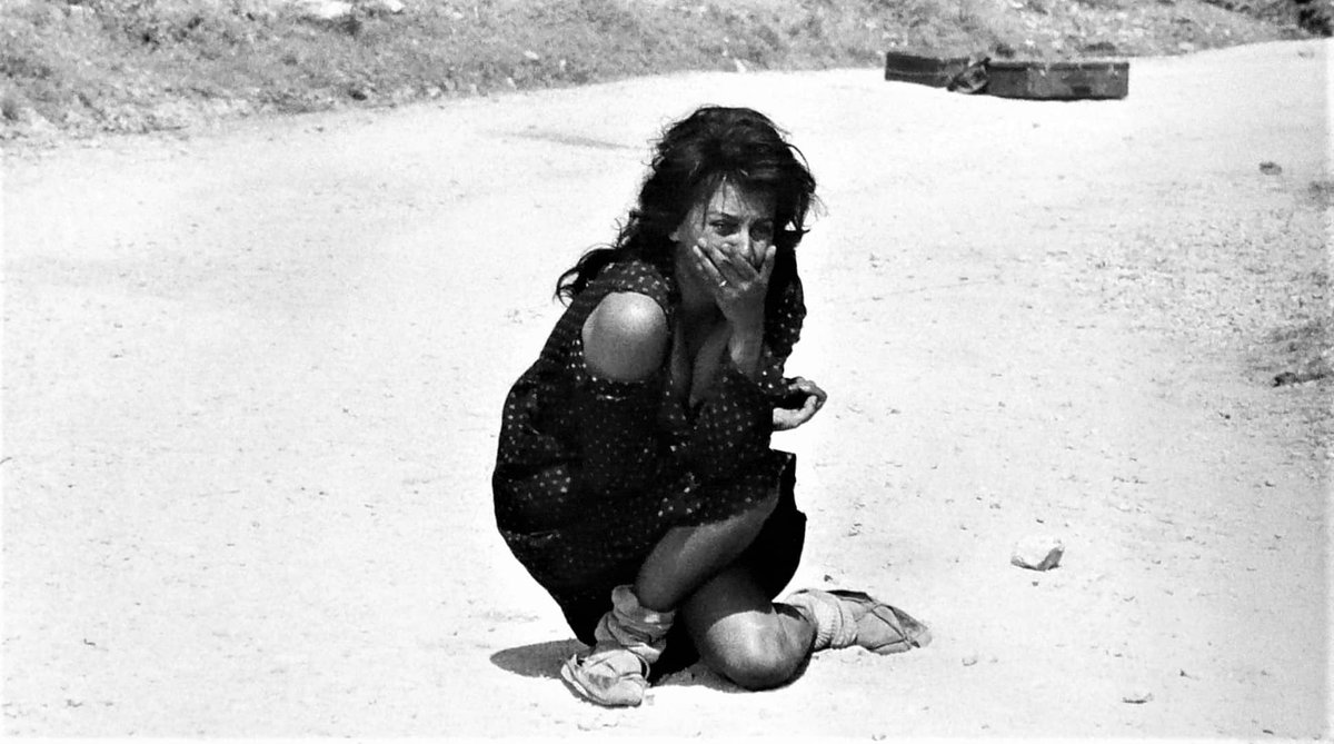 mariobianchi18's tweet photo. Il #20settembre 1934 è nata Sofia Costanza Brigida Villani Scicolone in arte prima Sofia Lazzaro poi #SofiaLoren. Esperienze iniziali come modella e nei concorsi di bellezza. Quindi la "maggiorata": 2 Oscar (La ciociara e alla carriera). Citata in canzoni da Dylan e gli Stones. https://t.co/0XGIPrOF3K