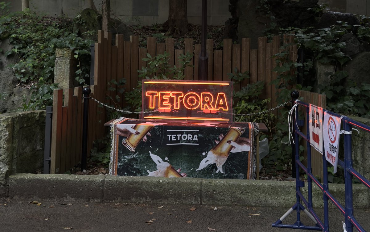 久しぶりのTETORAデス🧡