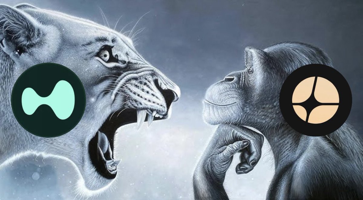 dxrnell's tweet image. My timeline right now