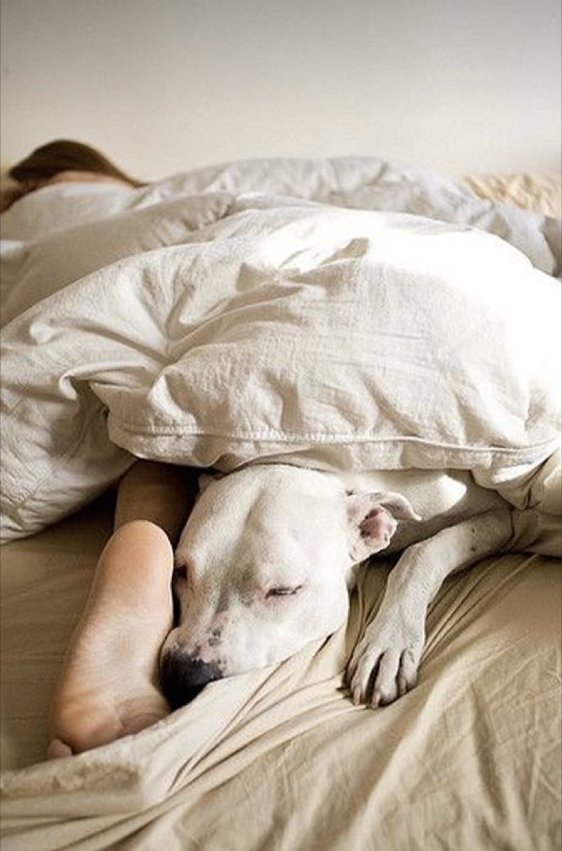 Niente mi chiede , se non il mio sonno accanto.
#buongiorno ☕️
#20settembre2025