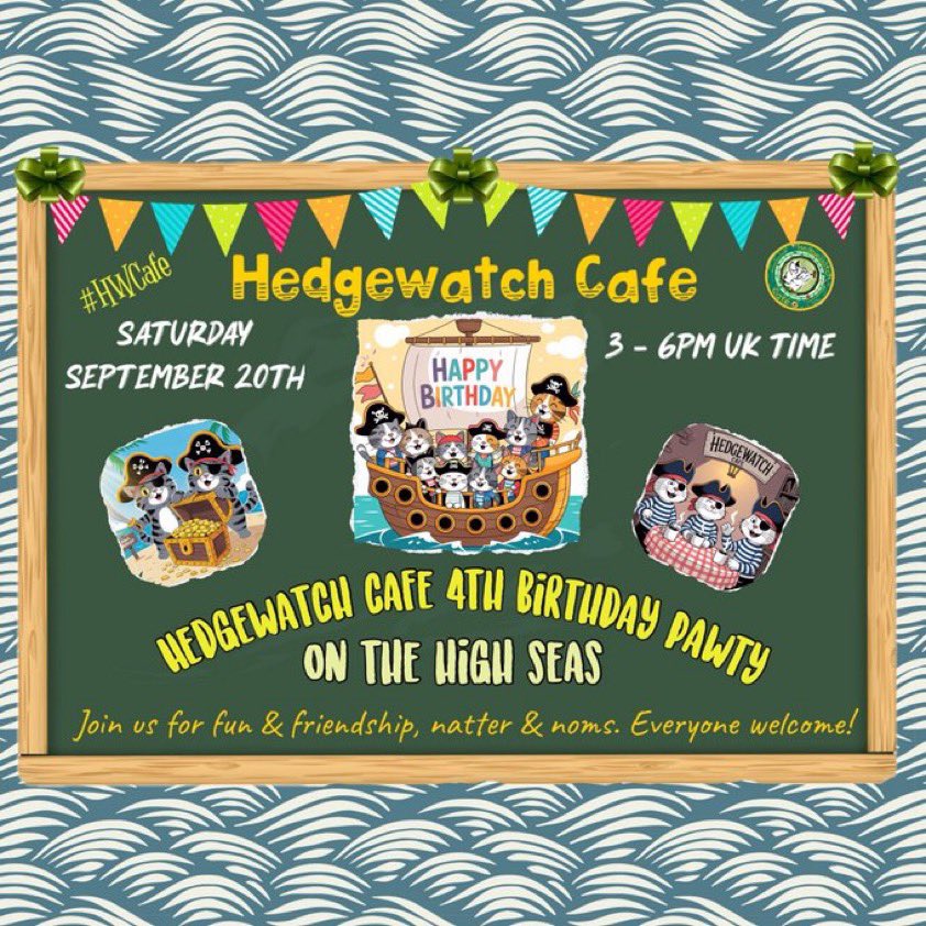 Are you ready to set sail this afternoon for a #hwcafe you’re never going to forget. Don’t be a landlubber grab your life jacket and help us celebrate our 4th birthday on the high seas. Who knows what will happen😬we don’t and we’re purristas😹#hedgewatch
