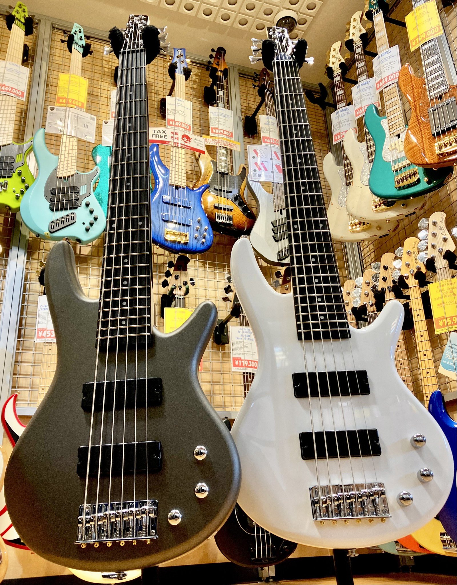【BGS 10 ゴールドラベル】憧れたバンド活動 SP ぼっち bg585 BGS 10 ゴールドラベル】憧れたバンド活動 SP ぼっち bg585 BGS