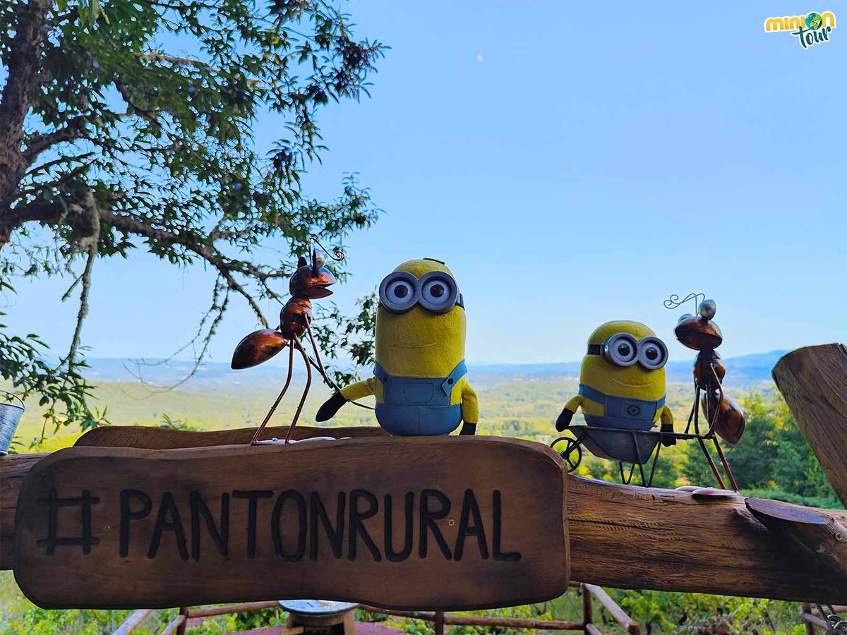 ¿Te apetece un plan 🔝 en la #RibeiraSacra? No te puedes perder #ElSecretodelMonje ni #ElSecretodelaAbadesa 📿, 2 #escaperoom entre viñedos en #Pantón 🍇, que si los resuelves... lo celebrarás con un vinito 🍷
👉 bit.ly/ElSecretodelMo…
<a href="/GaliciaTB/">Galicia TB</a> <a href="/MadridTB/">Madrid TB</a> <a href="/SpainTravelB/">Spain Travel Bloggers</a>