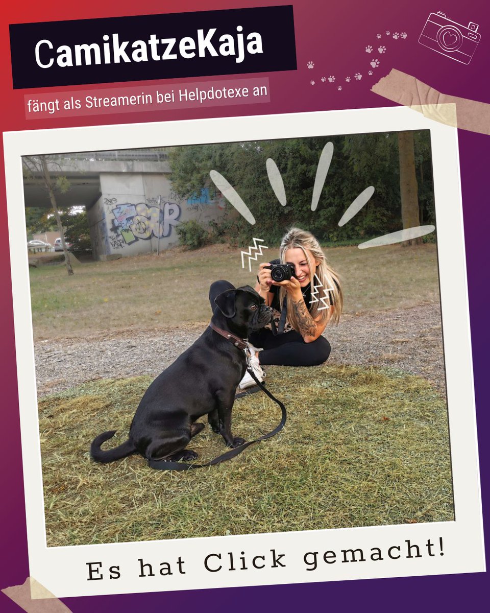 helpdotexe tweet media